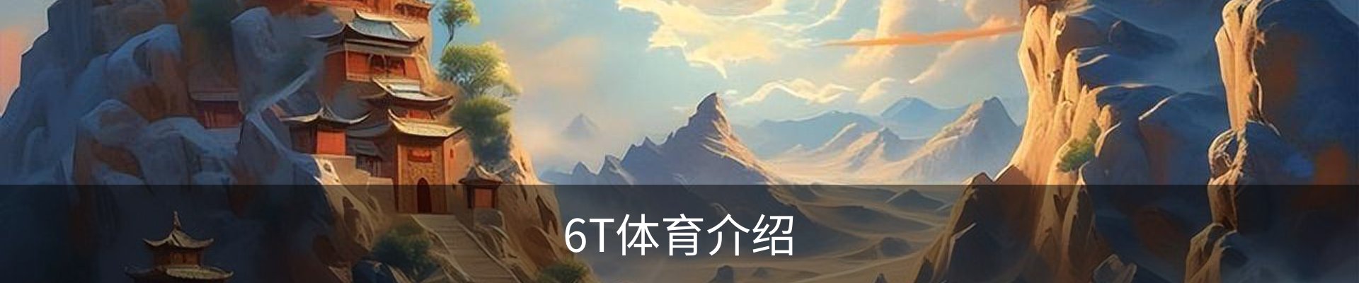 6T体育介绍